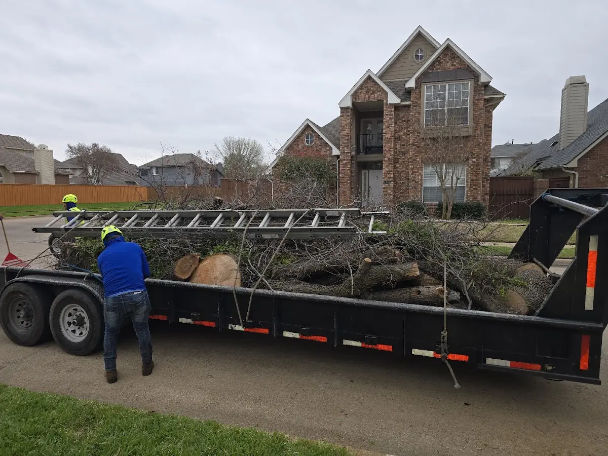 Expert Lot Clearing with proper safety equipment in Wing